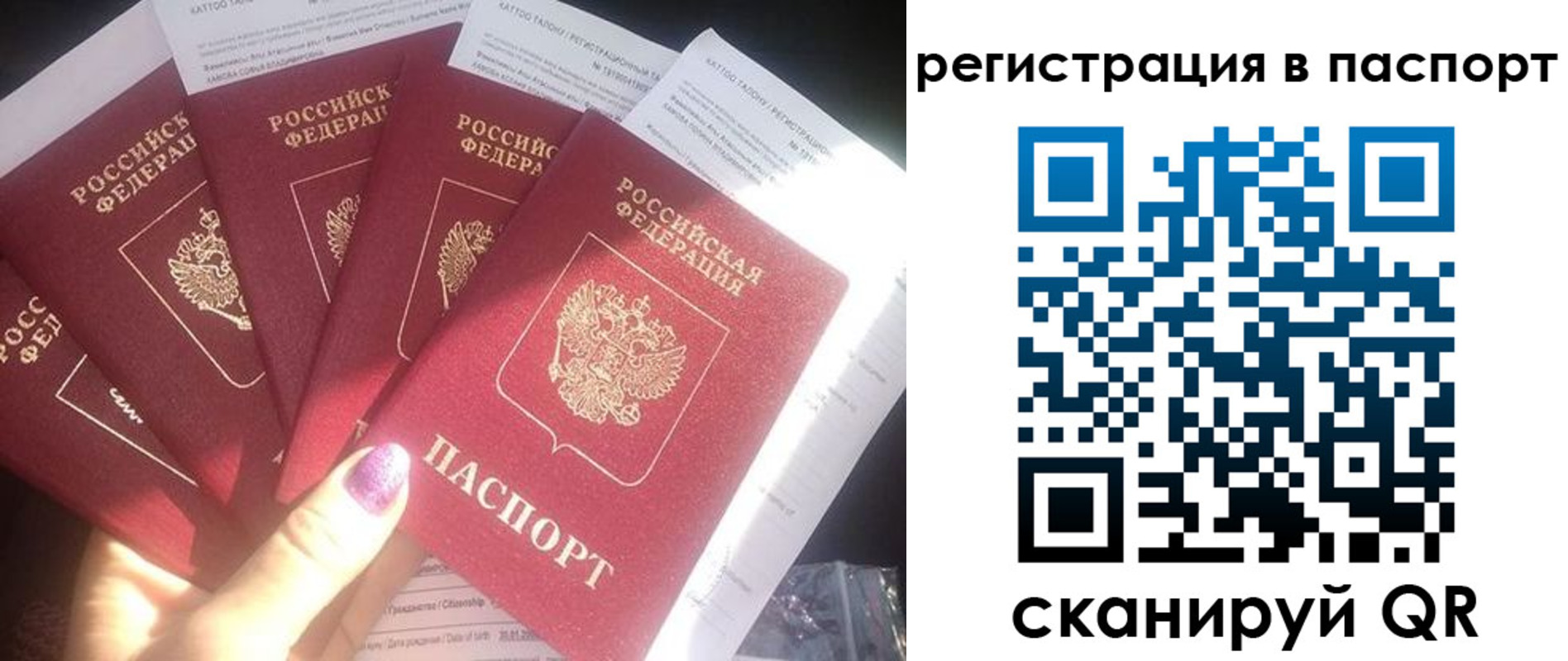прописка поиск в Воронеже